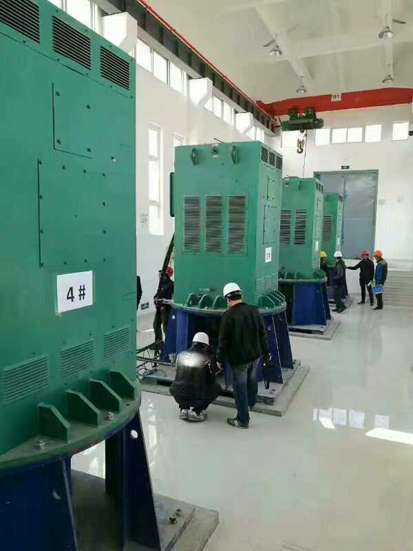 YKK6303-2/2500KW某污水处理厂使用我厂的立式高压电机安装现场