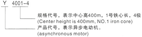 西安泰富西玛Y系列(H355-1000)高压YKK6303-2/2500KW三相异步电机型号说明